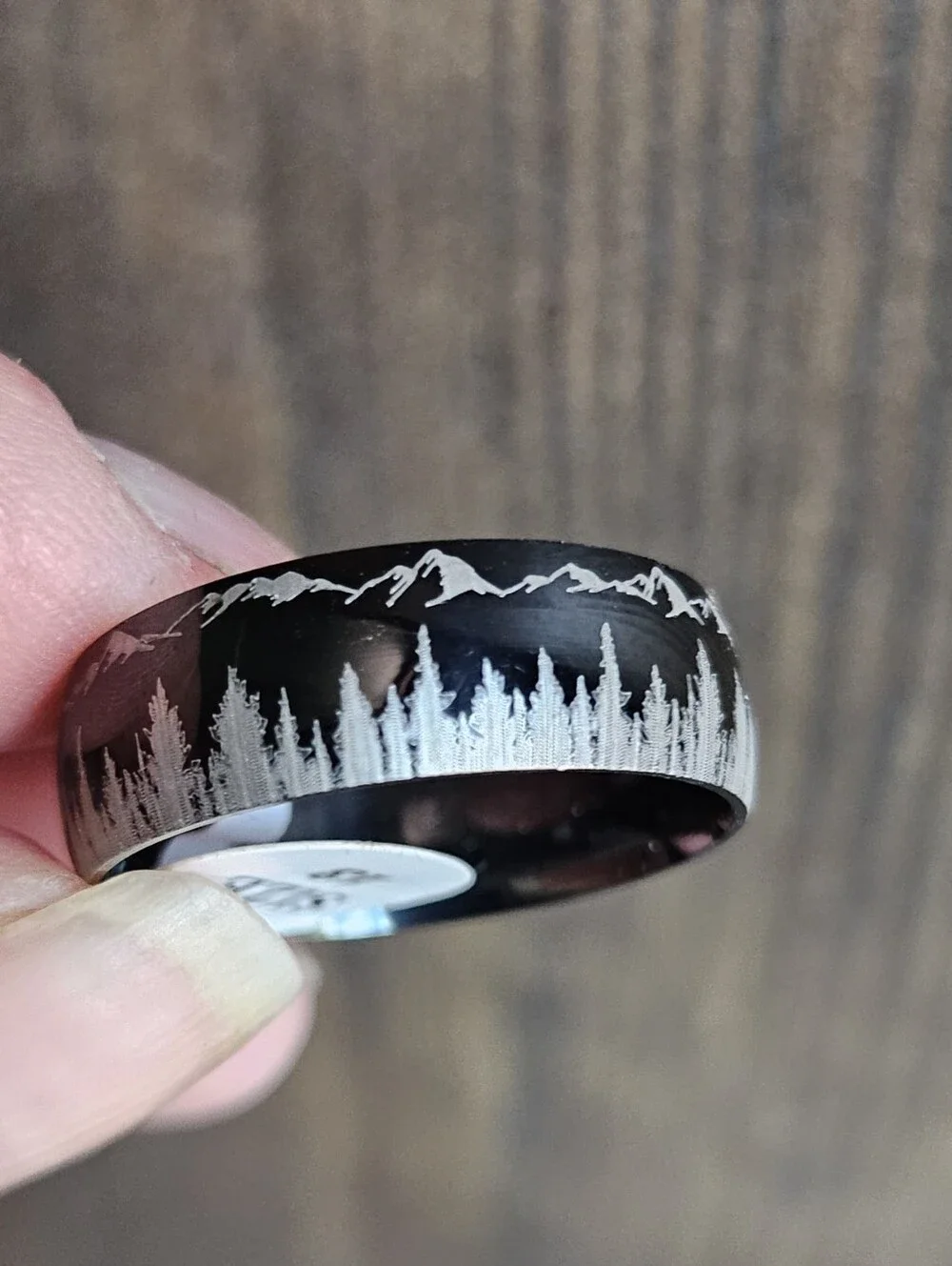 NEW Mens Black Stainless Steel Wedding Band With Moutain Scene